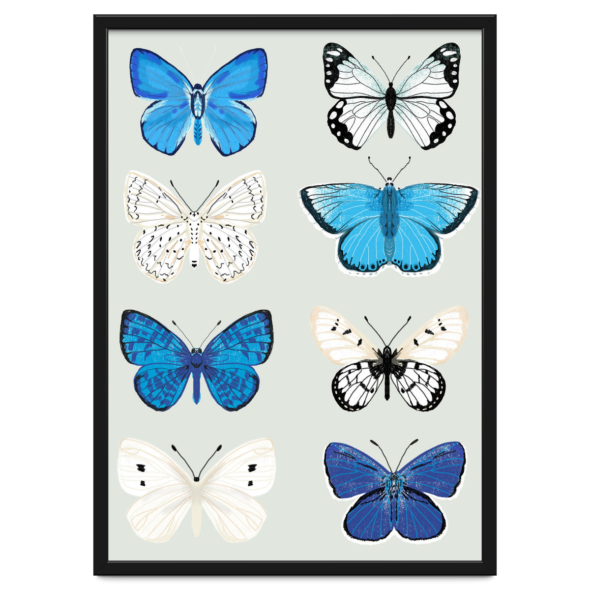 Lepidoptery Study No. 3