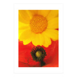 SPRING LOVE (Print Only) thumbnail