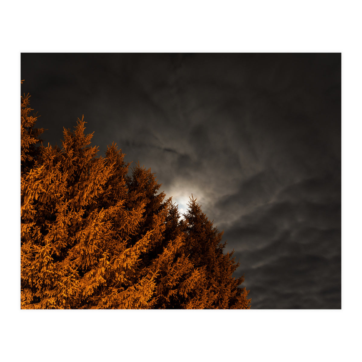 Howling (Print Only)