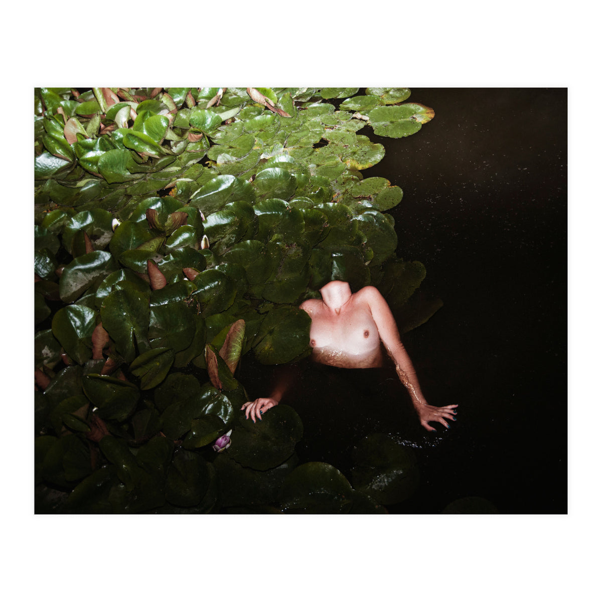 This is Not what You think it Is (Print Only)