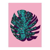 Monstera Deliciosa II (Print Only) thumbnail