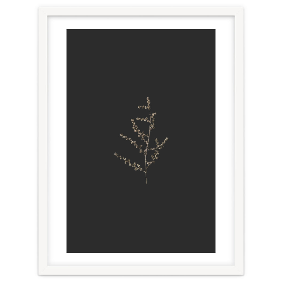 Dainty Botanicals in Gold and Black