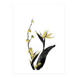 Flower Minimal Black And Gold 02 (Print Only) thumbnail
