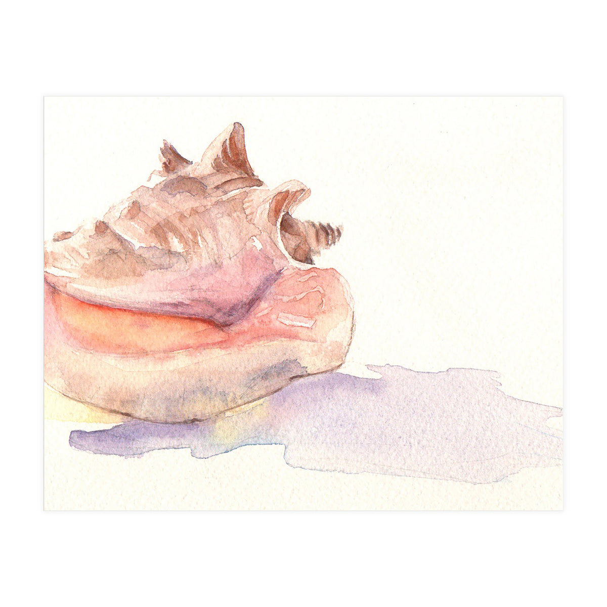 Conch Shell (Print Only)
