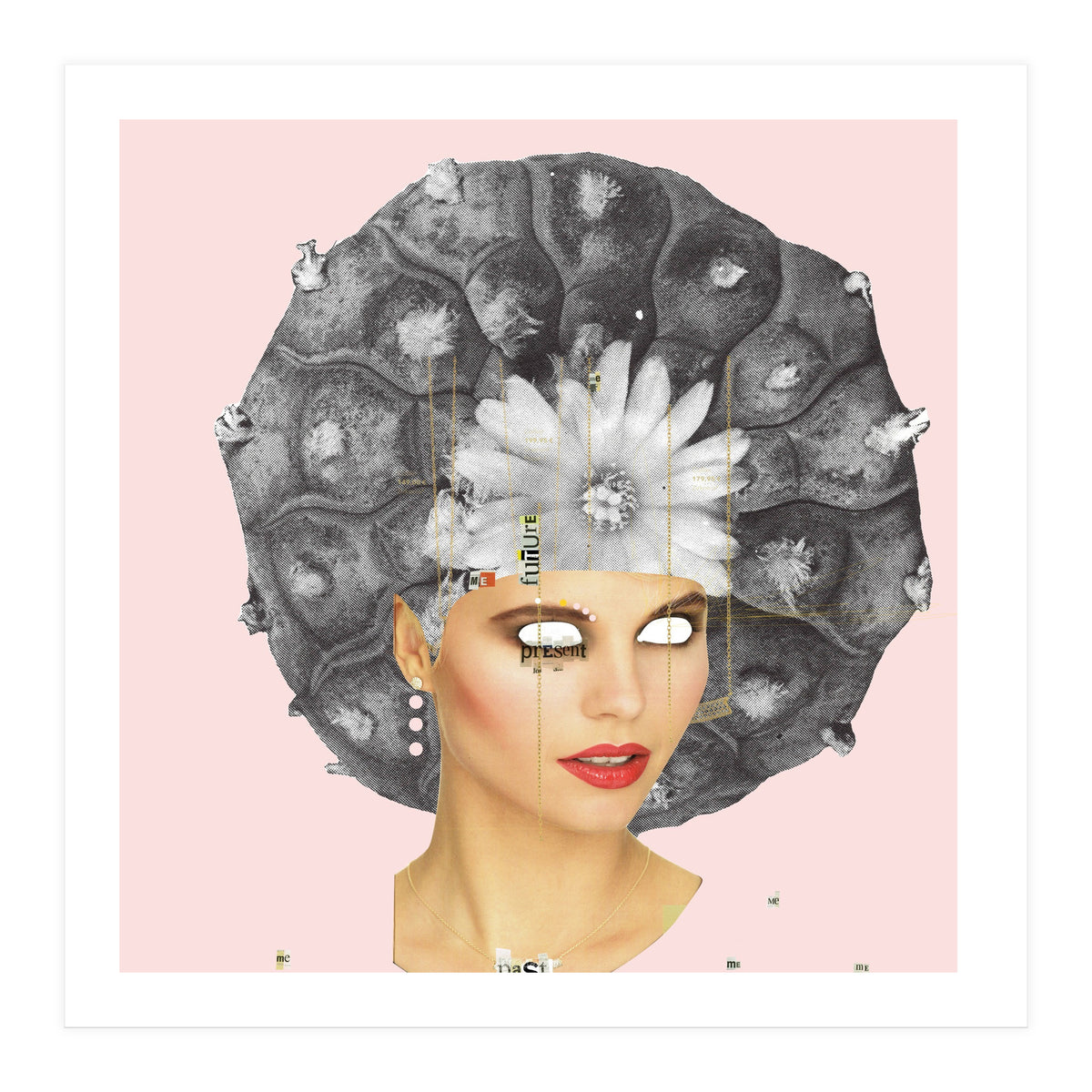 Rosa, Present (Print Only)