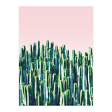 Cactus & Sunset II (Print Only) thumbnail
