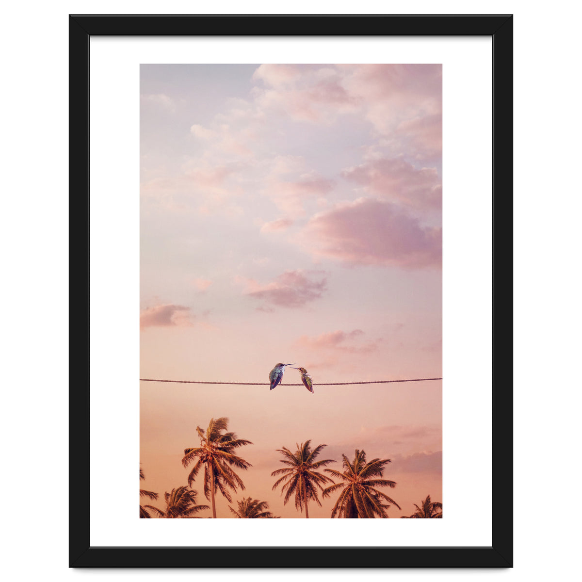 Hummingbirds In Love