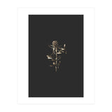 Golden Botanicals (Print Only) thumbnail