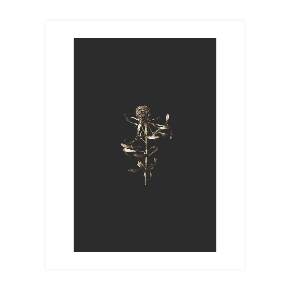 Golden Botanicals (Print Only)