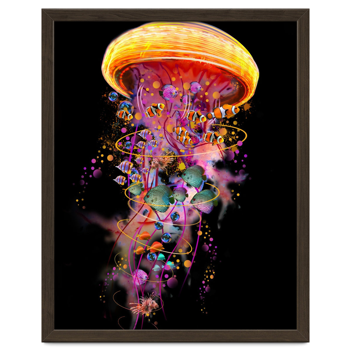 Jelly Fish Ride Summer2018 Dbh