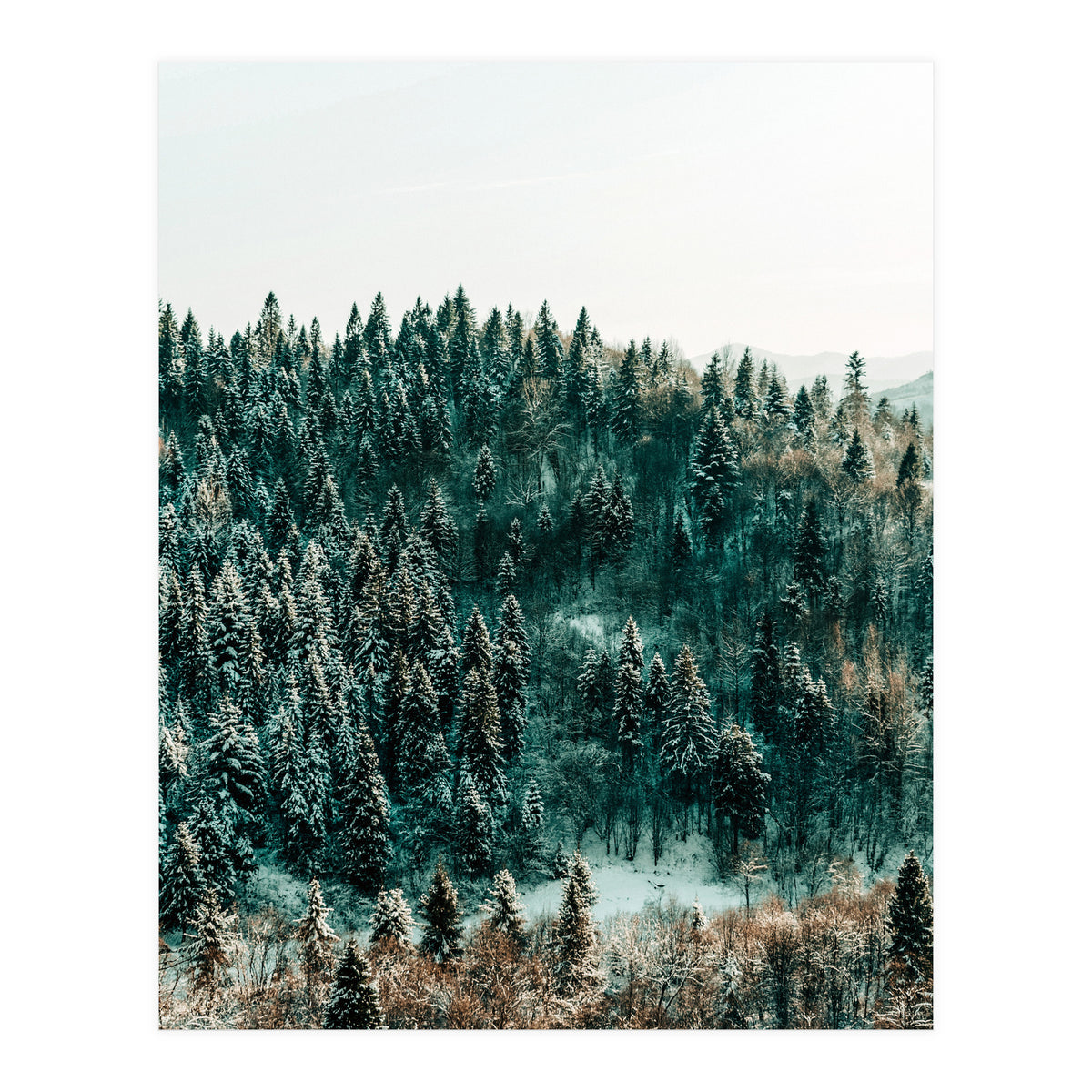 In The Wild (Print Only)