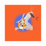 Koi Carp N Diver (Print Only) thumbnail