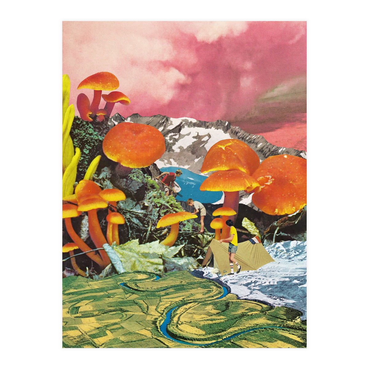 Mushroom Valley (Print Only)