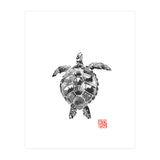 Tartoise (Print Only) thumbnail