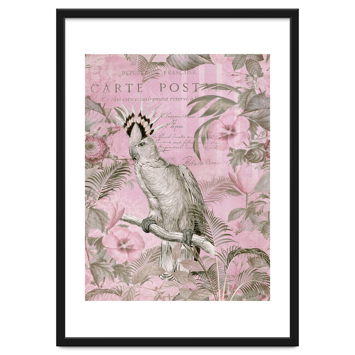 Jungle Cockatoo Pink