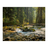 Cascade River (Print Only) thumbnail