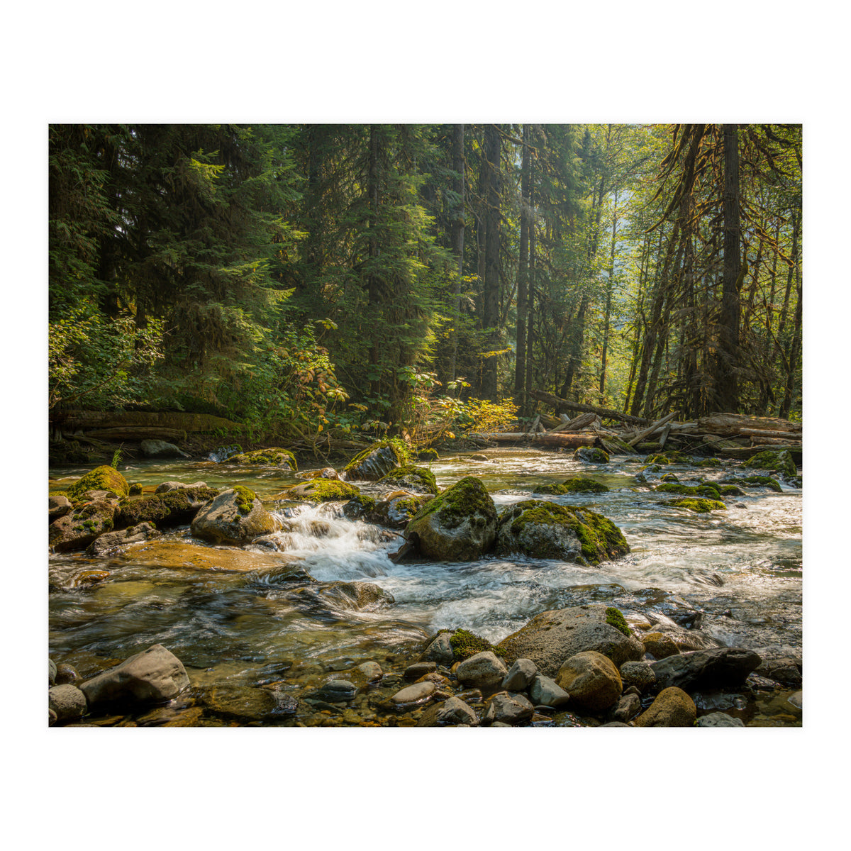 Cascade River (Print Only)
