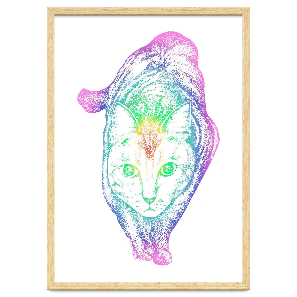 Rainbow Pastel Cat