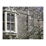 Inner Temple Gardens (Print Only) thumbnail