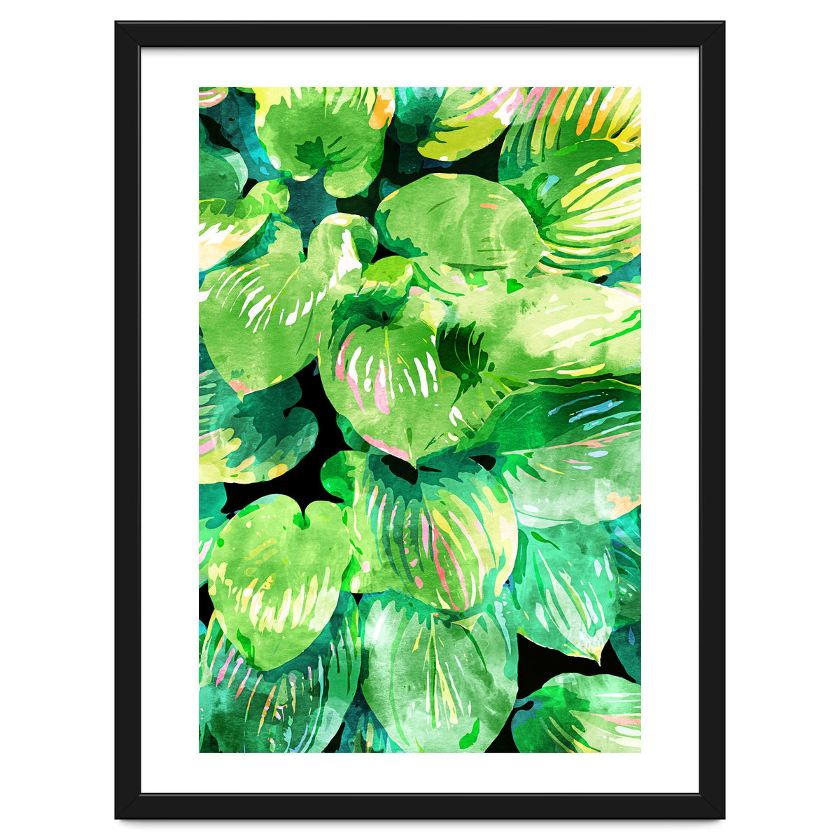 Colors Of The Jungle