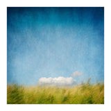 The Cloud That Fell From The Sky (Print Only) thumbnail