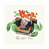 Brainwave (Print Only) thumbnail