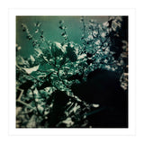 GREEN POEM (Print Only) thumbnail