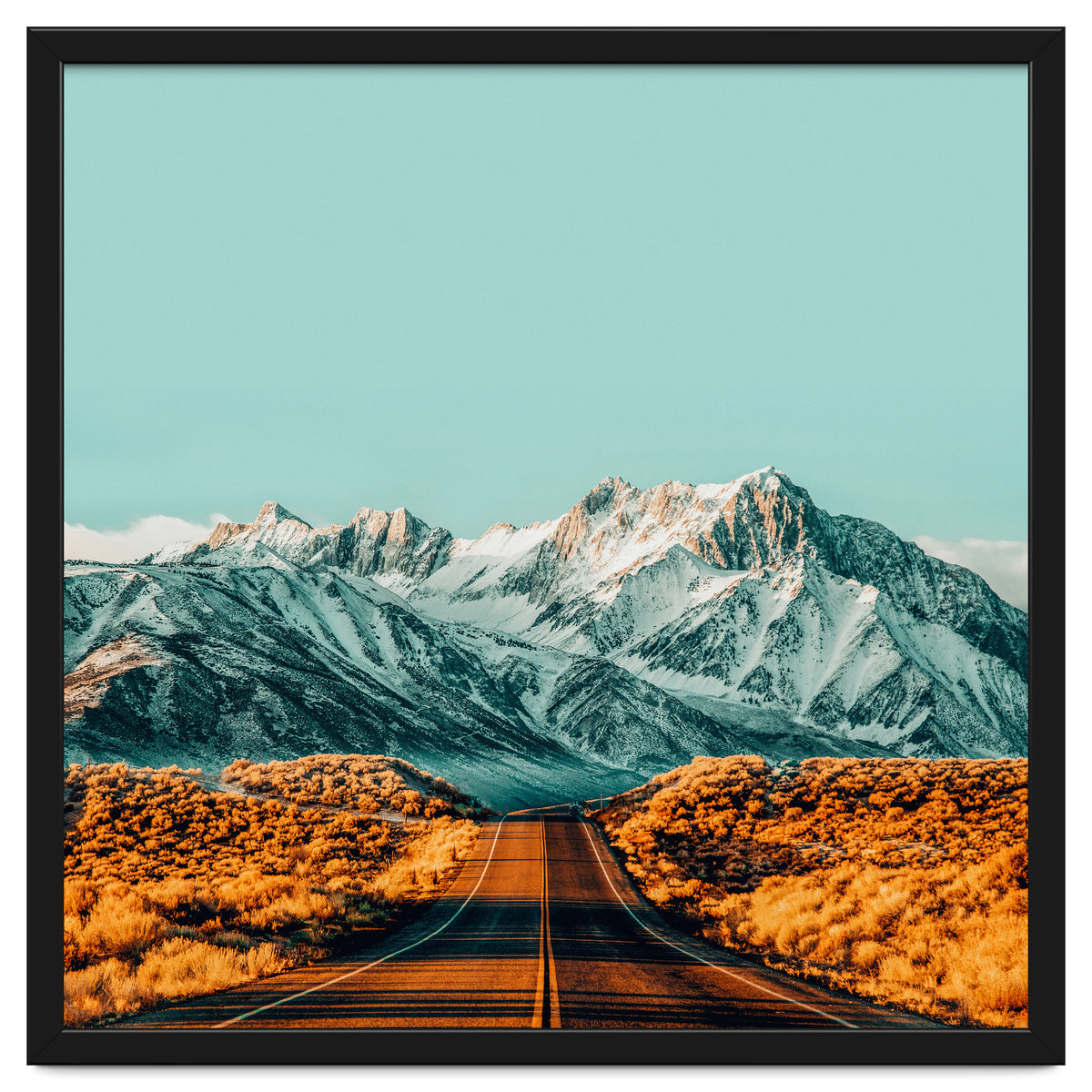 The Road Less Traveled