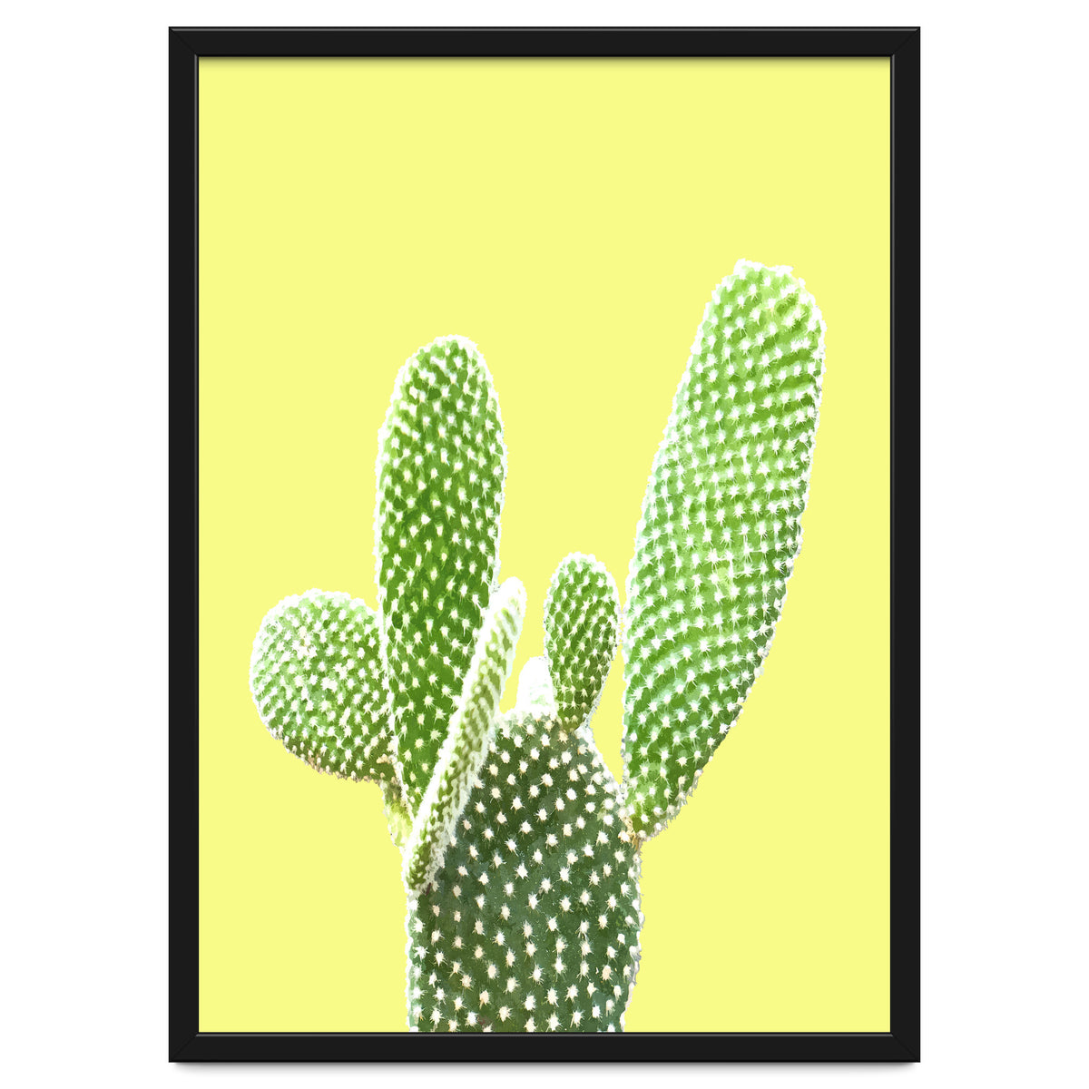 Cactus Yellow Background