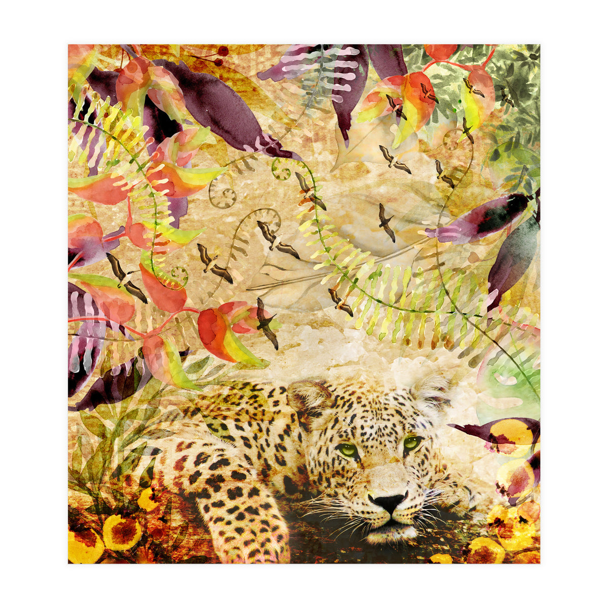 A Life Wild (Print Only)