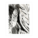 Tropical Season BW 3 (Print Only) thumbnail