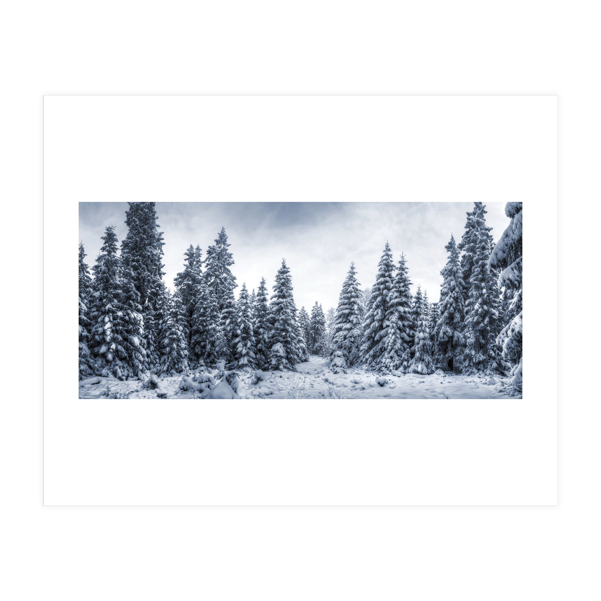 Winterland (Print Only)