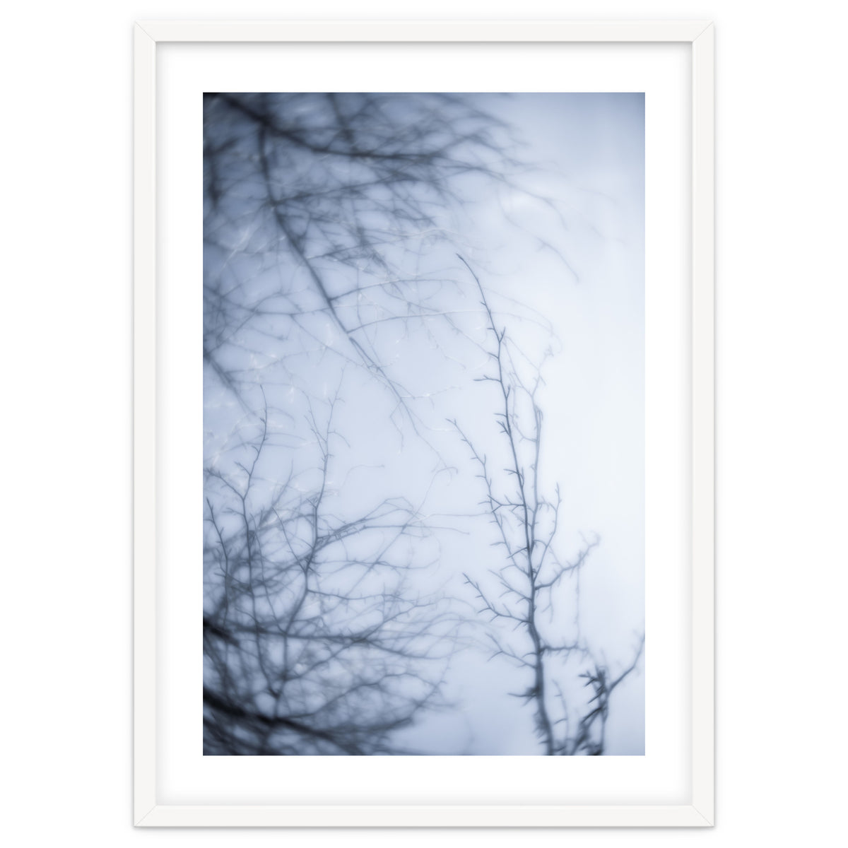 Forgotten Memories of Summer #21