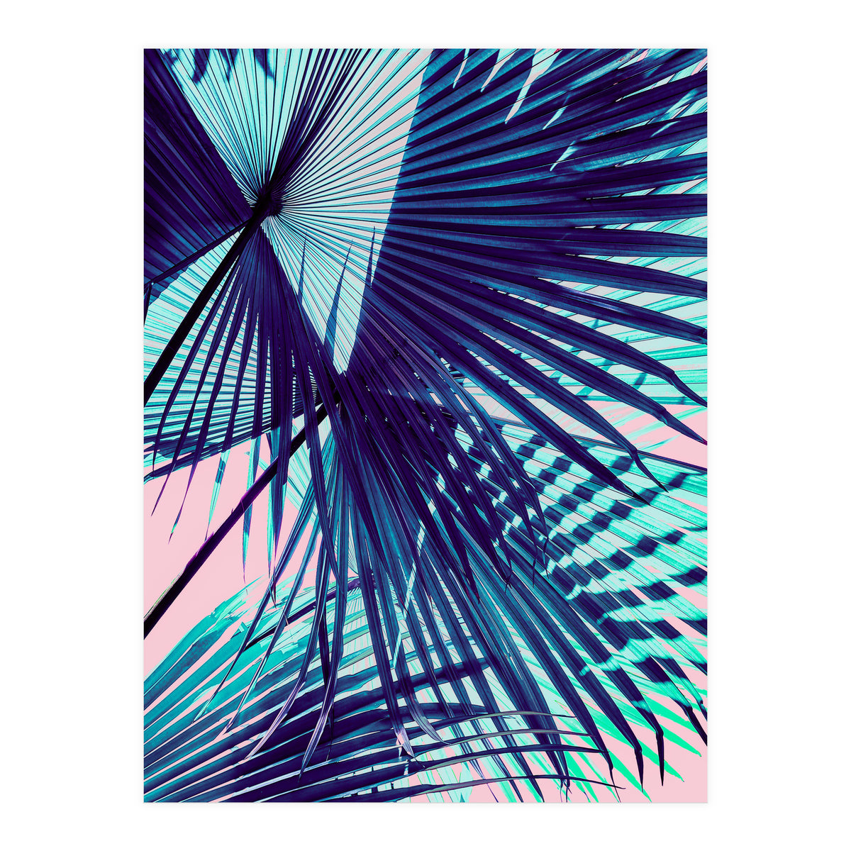 Palm leaf on the beach (Print Only)