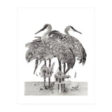 Crane Houses (Print Only) thumbnail