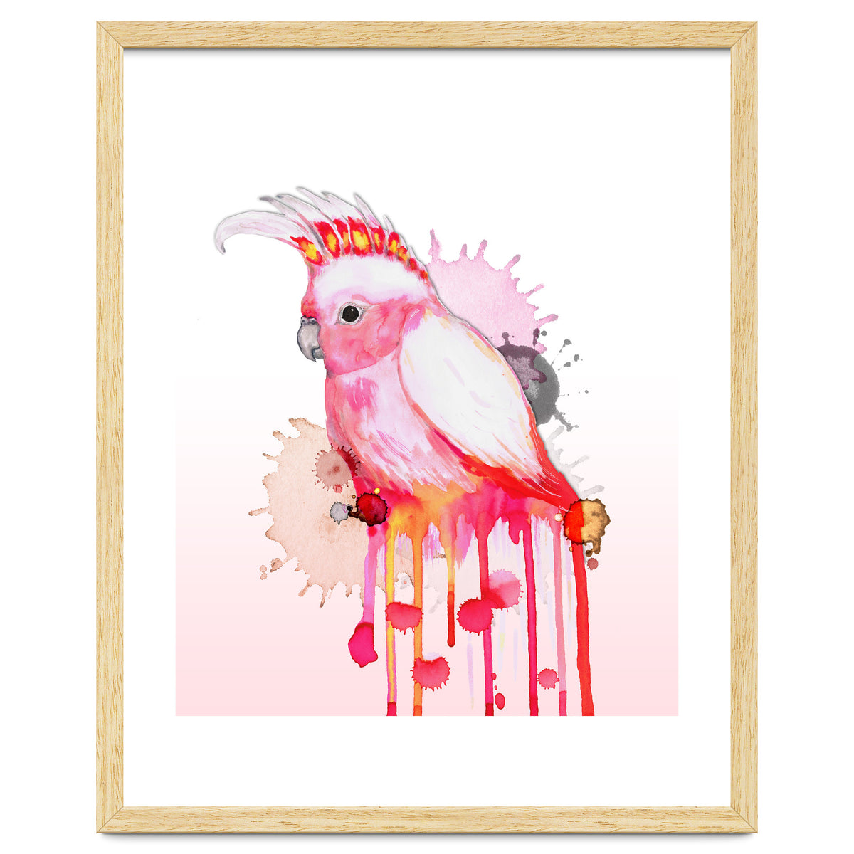 Major Mitchell's cockatoo