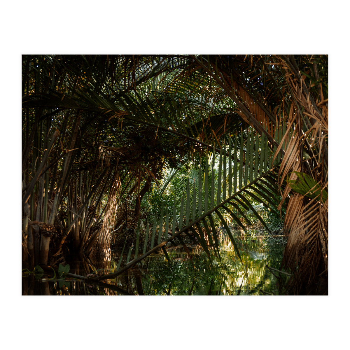 Exploring Vietnam (Print Only)