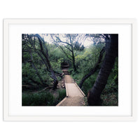 Glen Canyon Park