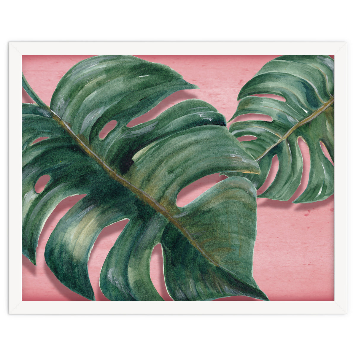 Monstera Leaf