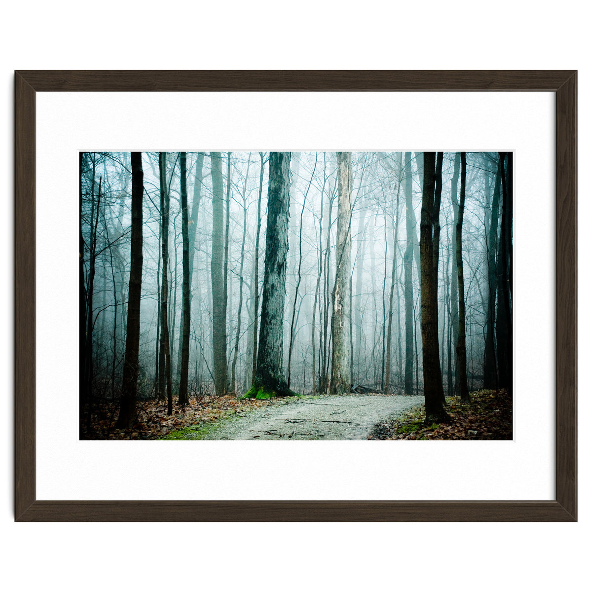 Gather Up Your Dreams