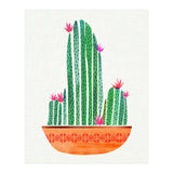 Tiny Cactus Blossoms (Print Only) thumbnail