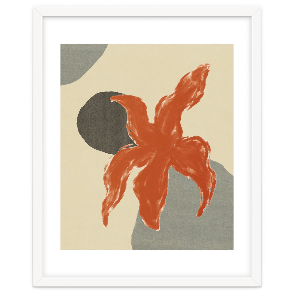 Wobbly Sea Star On Rocks \\ Abstract Composition