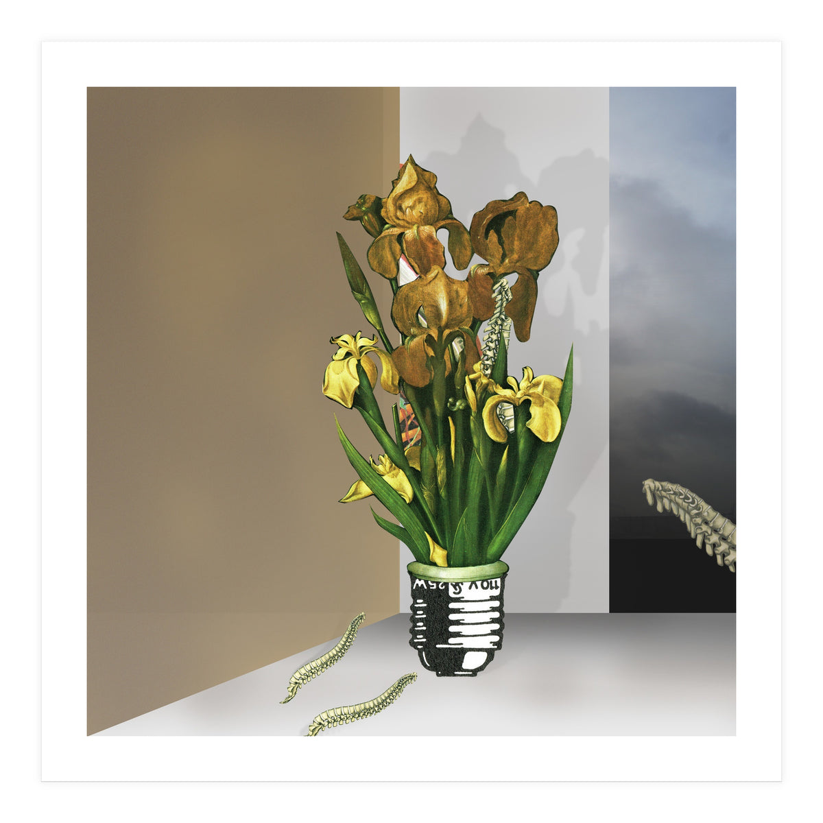 Das Licht Der Pflanze (Print Only)