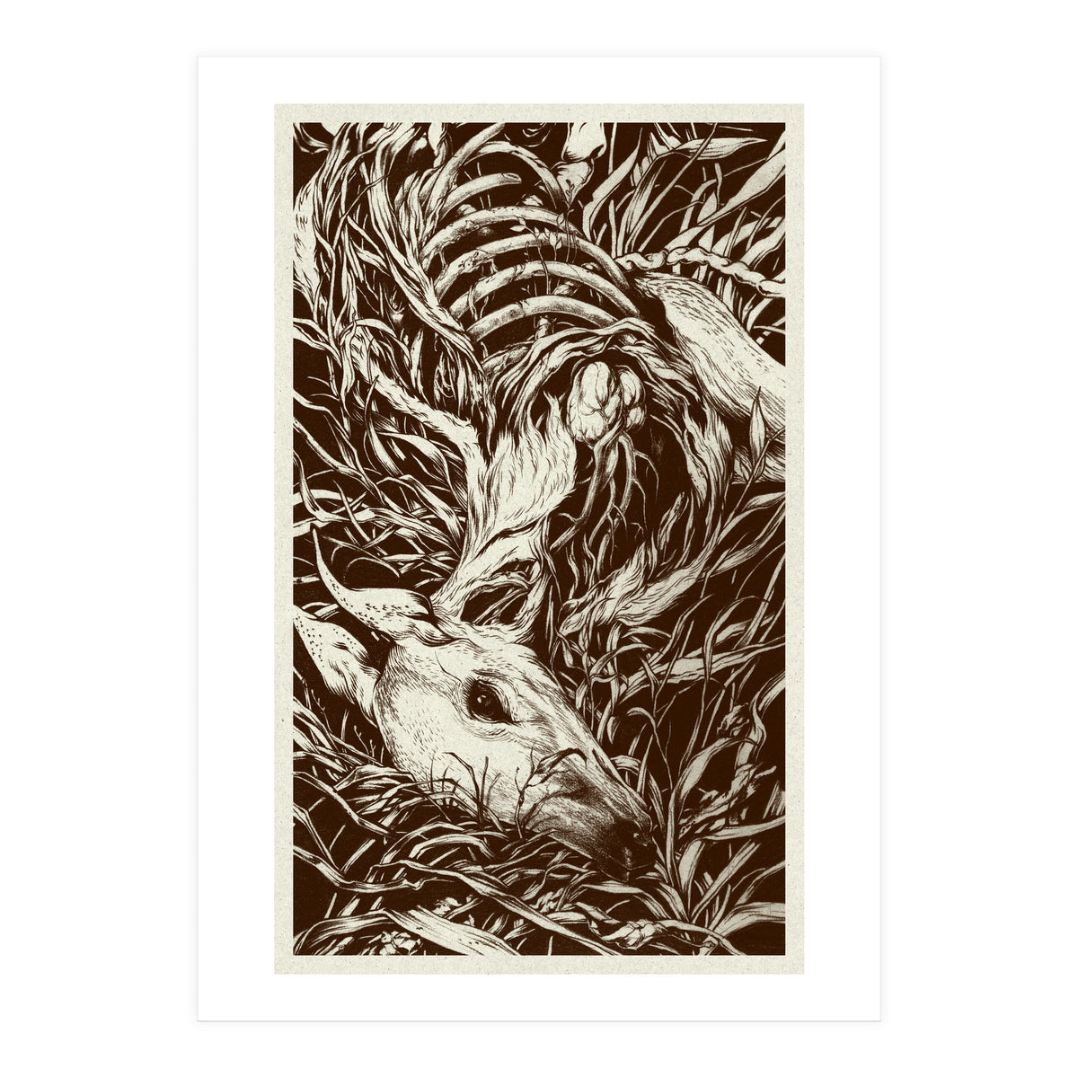 Doeeyed (Print Only)