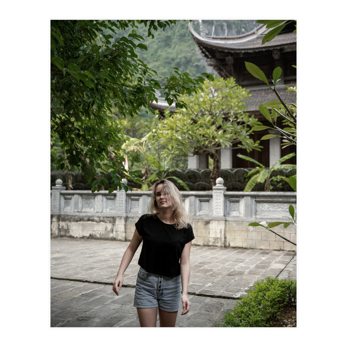 Vietnam Travel (Print Only)