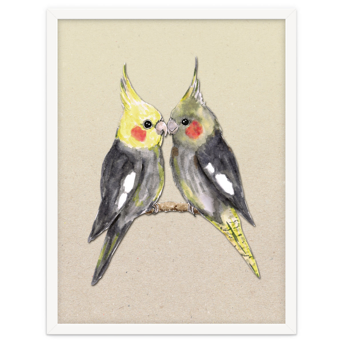 Two cute cockatiels