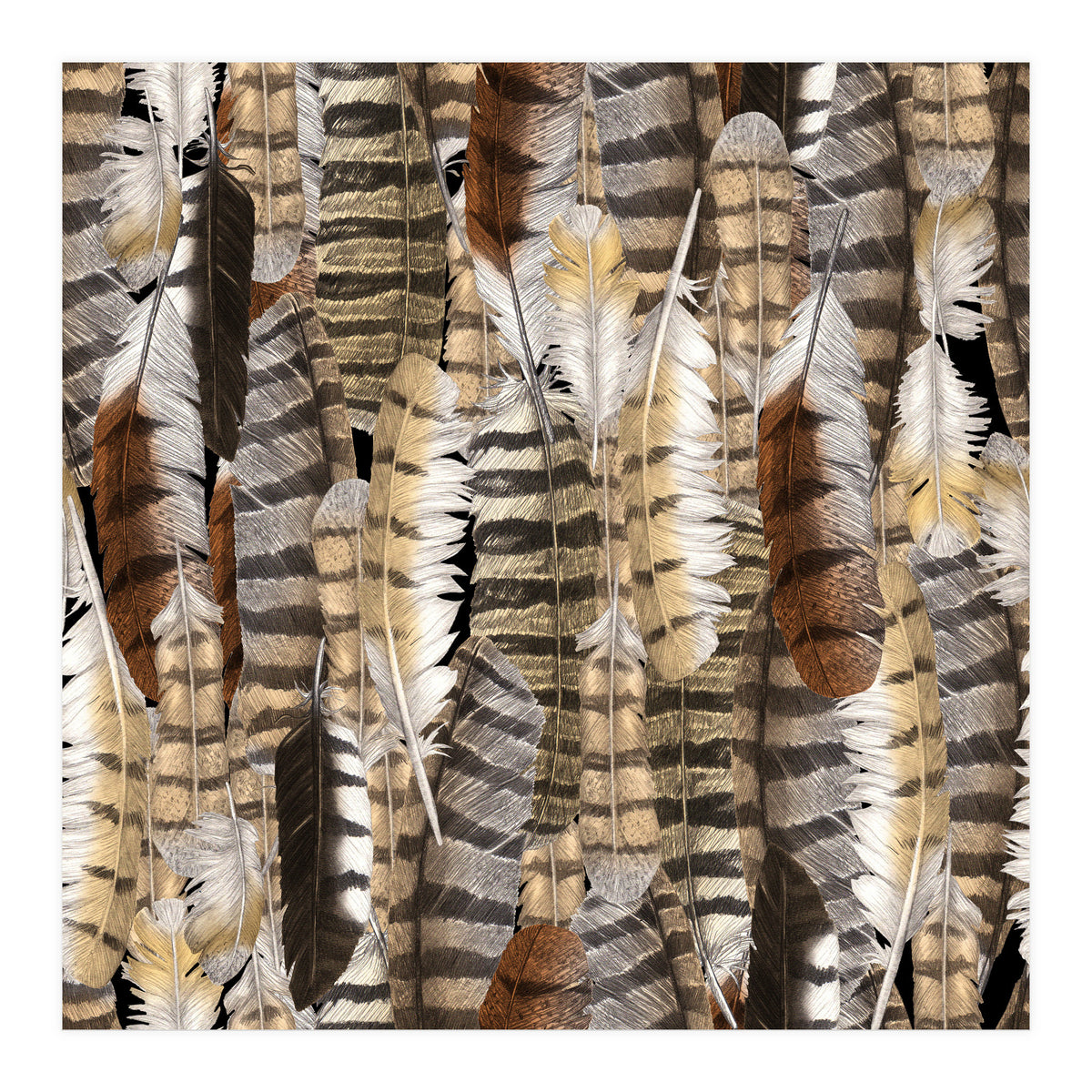 Owl Feathers (Print Only)