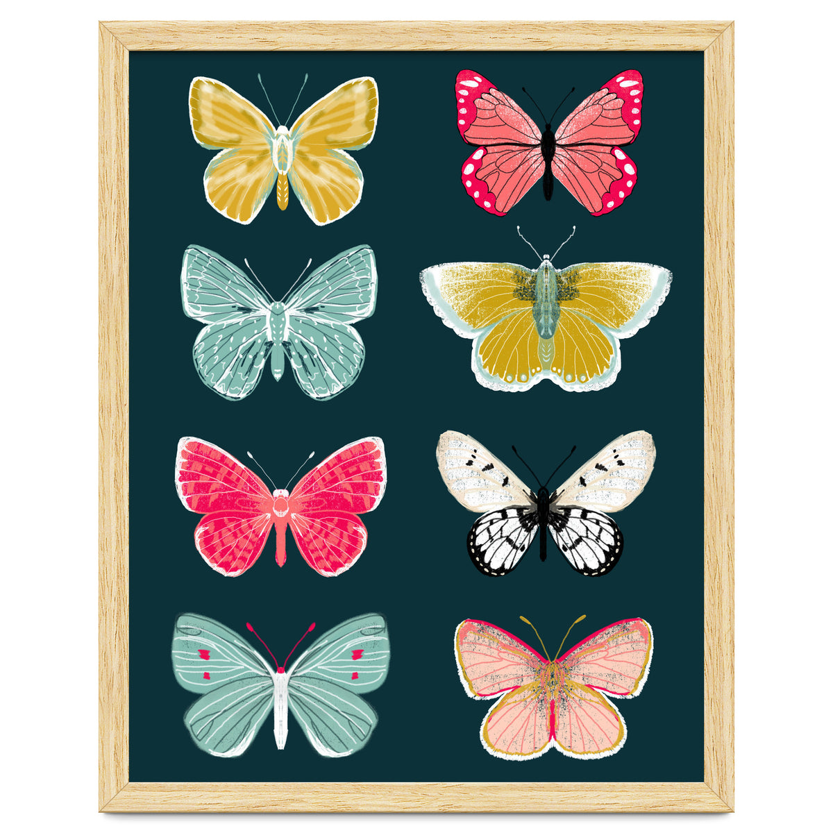 Lepidoptery Study No. 2