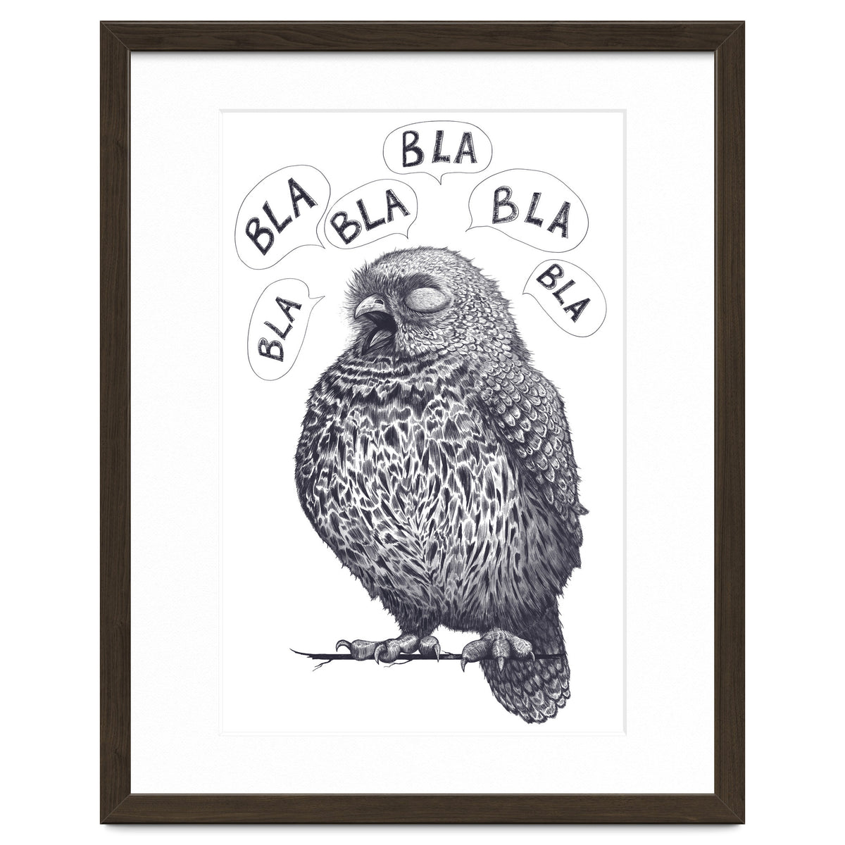 Owl Bla Bla Bla