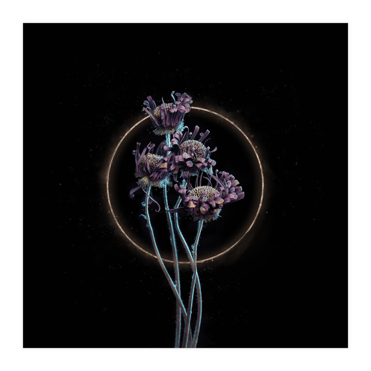 Candy-Coloured Mystery (Print Only)